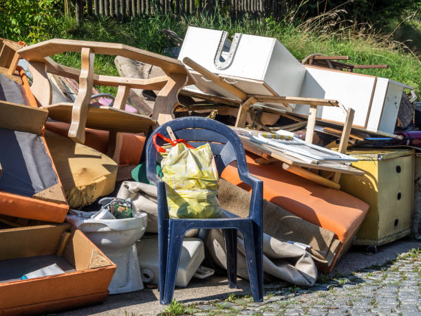 Yard Cleanup Services in Havre De Grace, MD